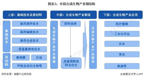 2024年中國合成生物產業全景圖譜 規模、布局與技術路線解析